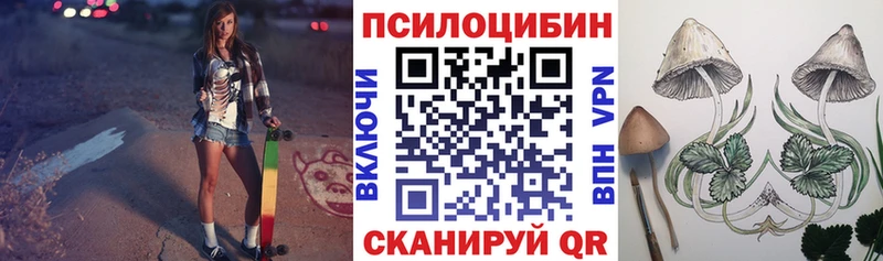 наркота  Кукмор  Псилоцибиновые грибы Psilocybine cubensis 