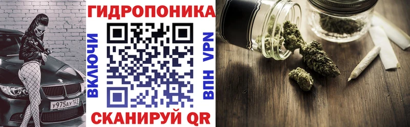 купить наркоту  Кукмор  Канабис план 